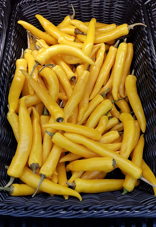 Chiles güeros